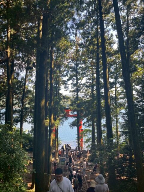 箱根神社,結婚式