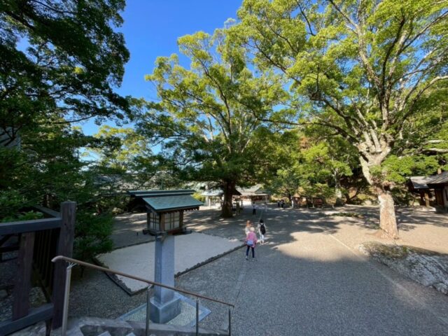 安房神社,結婚式,千葉