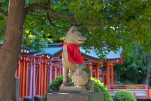 根津神社,結婚式,和婚