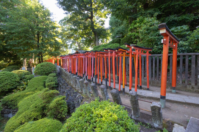 根津神社,結婚式,和婚