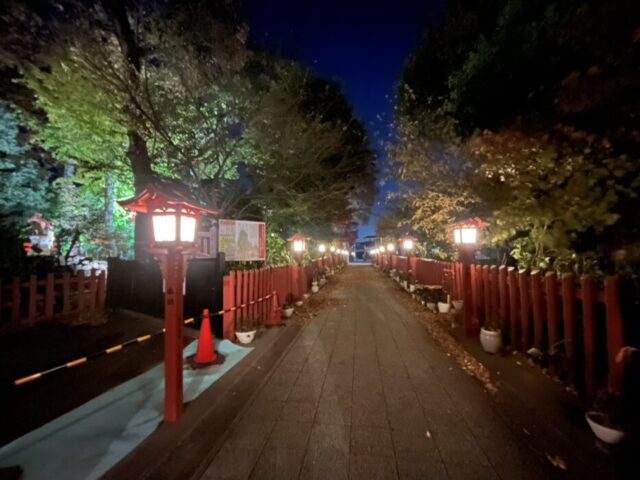 川越八幡宮,結婚式,和婚