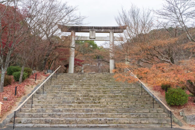 竈門神社,結婚式
