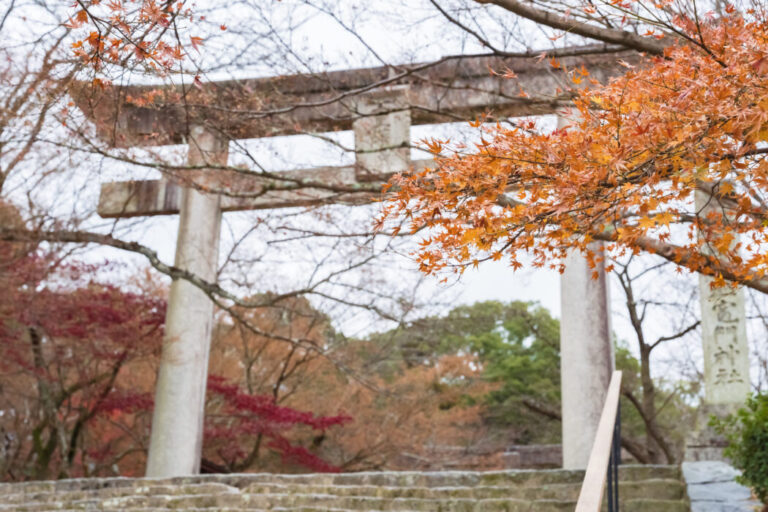 竈門神社,結婚式