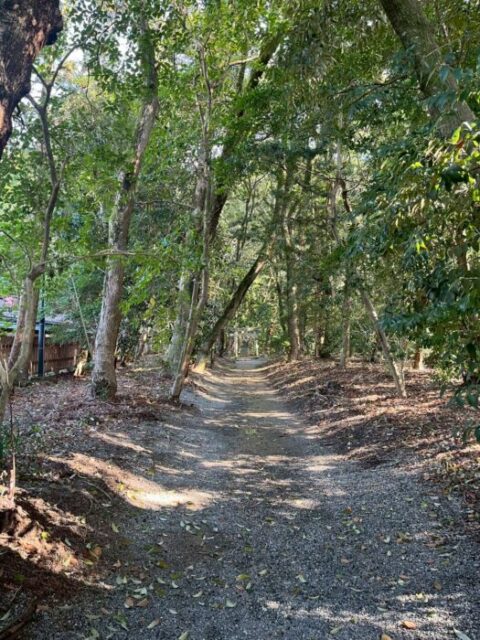 宗像大社呼ばれて行ってきた!!難しい「読み方」と「神様」について