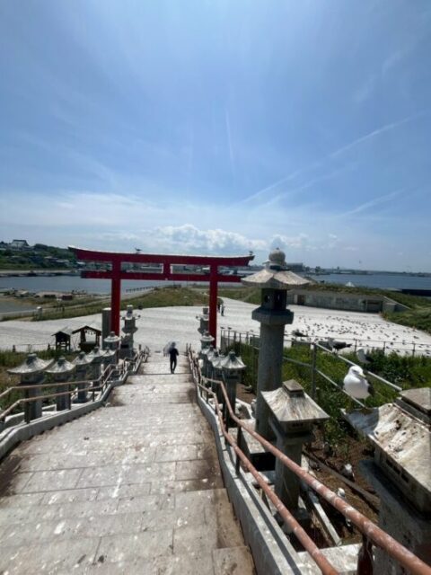 青森 神社 ウミネコ