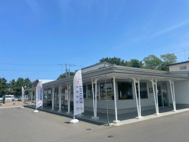 青森 神社 ウミネコ
