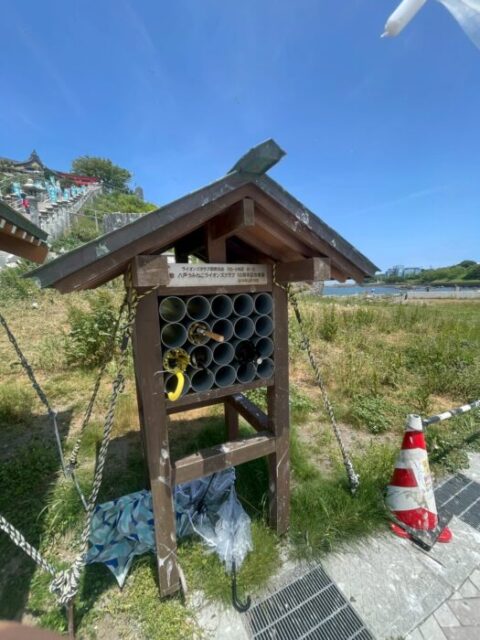 青森 神社 ウミネコ