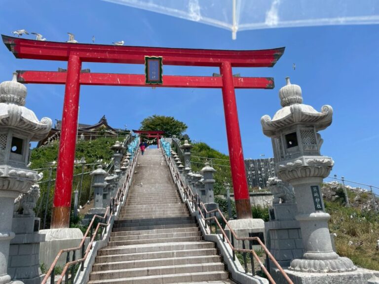 青森 神社 ウミネコ