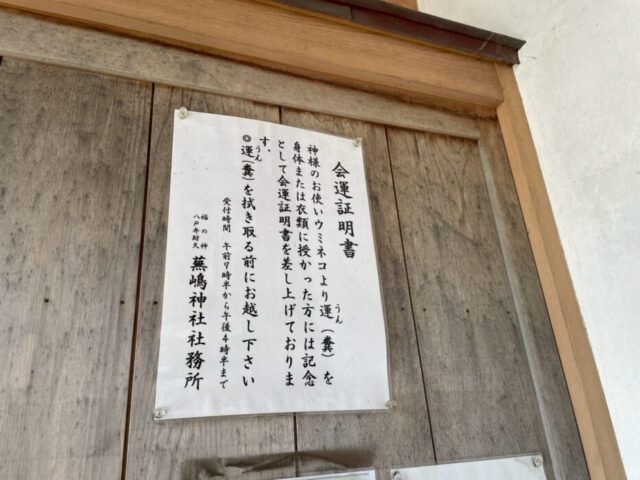 青森 神社 ウミネコ