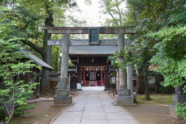 「駐車場あり」の神社婚を東京でお探しなら